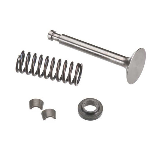 Valve Assembly Exhaust for FS-120 Surpass (OSMG9223)