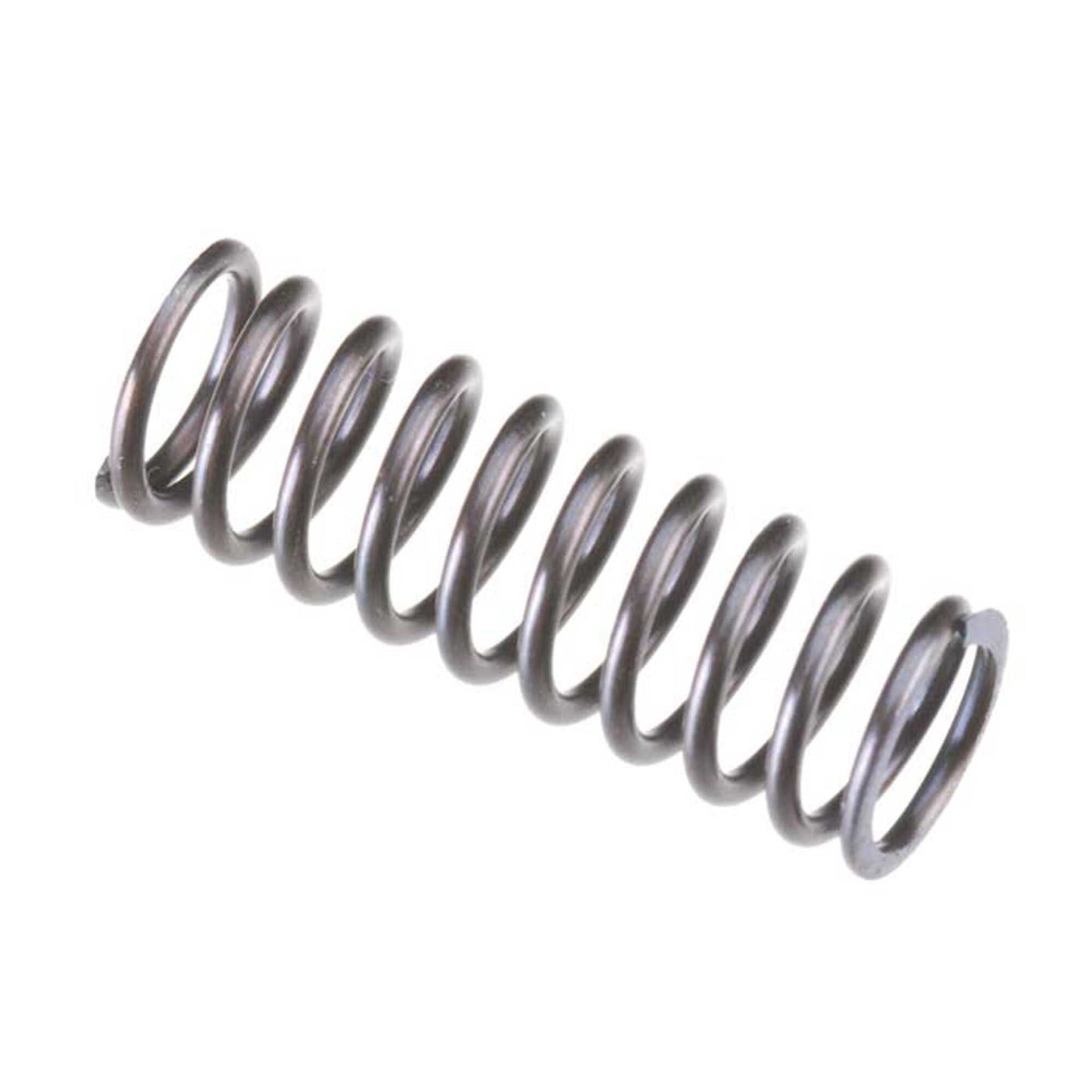 Valve Spring Intake for FS-120 Surpass (OSMG9246)