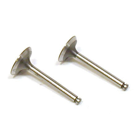 In/Out Valve for QQ, UU, and BM Applications (SAI10046)