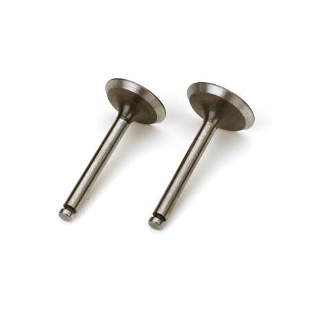 AG AH BN CA Valve In/Out Pair (SAI125A46)