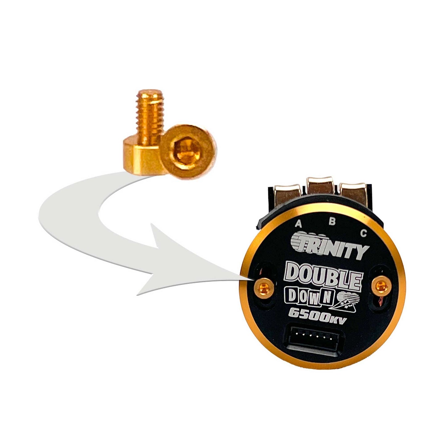 Double Down Gold Aluminum Timing Screws (2) (TEP2115)