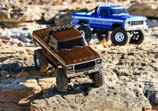 1/10 TRX-4 Ford F-150 High Trail Edition Ready to Run (Brown) (TRA92046-4-BRWN)