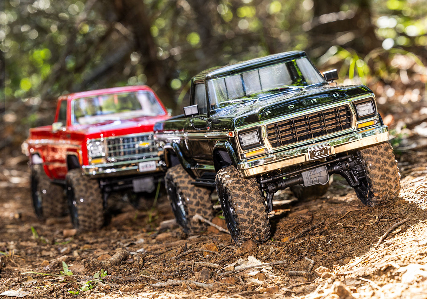 1/10 TRX-4 1979 Ford F-150 Ready to Run (Black) (TRA92144-4-BLK)
