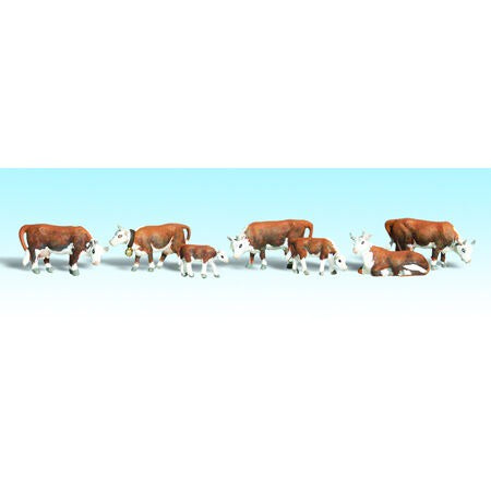 N Hereford Cows (WOOA2144)