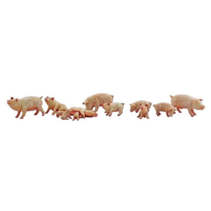 N Yorkshire Pigs (WOOA2218)