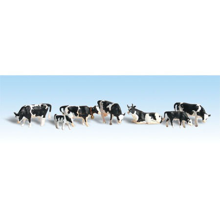 O Holstein Cows (WOOA2724)