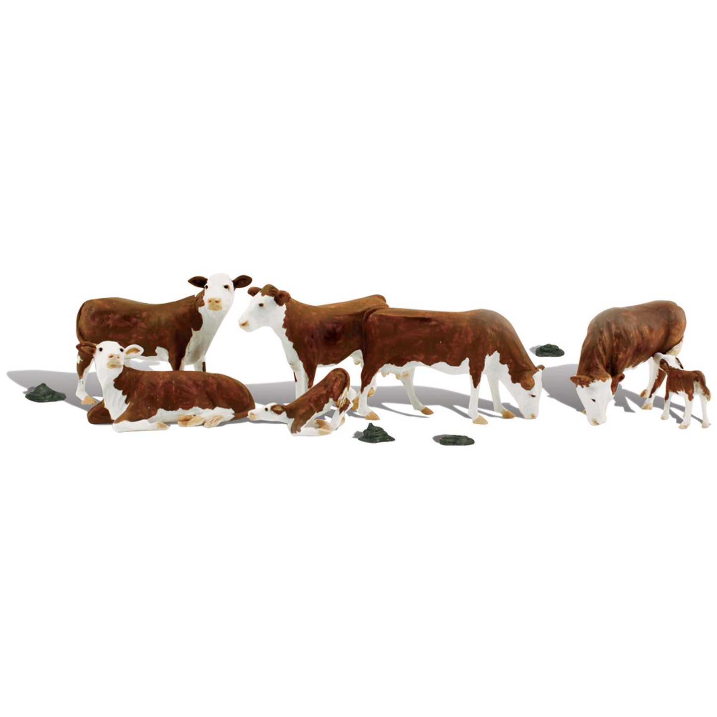 O Hereford Cows Set (WOOA2767)