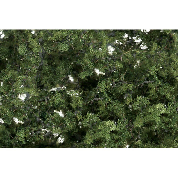 Fine Leaf Foliage Med Gr (WOOF1131)