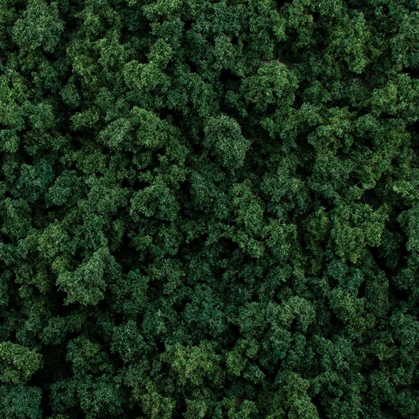 Dark Green Foliage Clumps (WOOG6463)