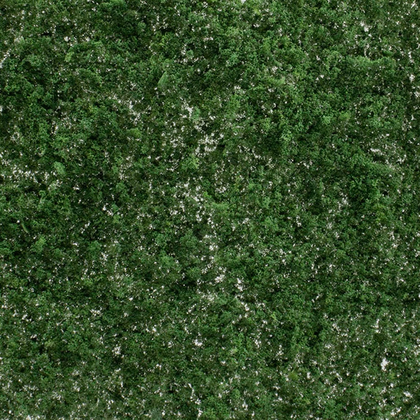Dark Green Super Foliage (WOOG6494)