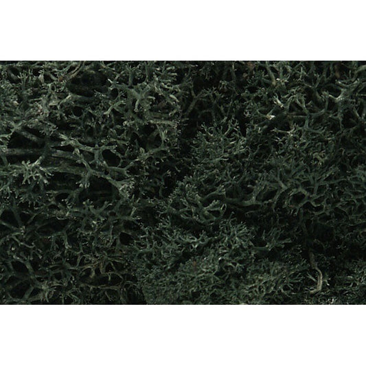 Lichen Dark Green (WOOL164)