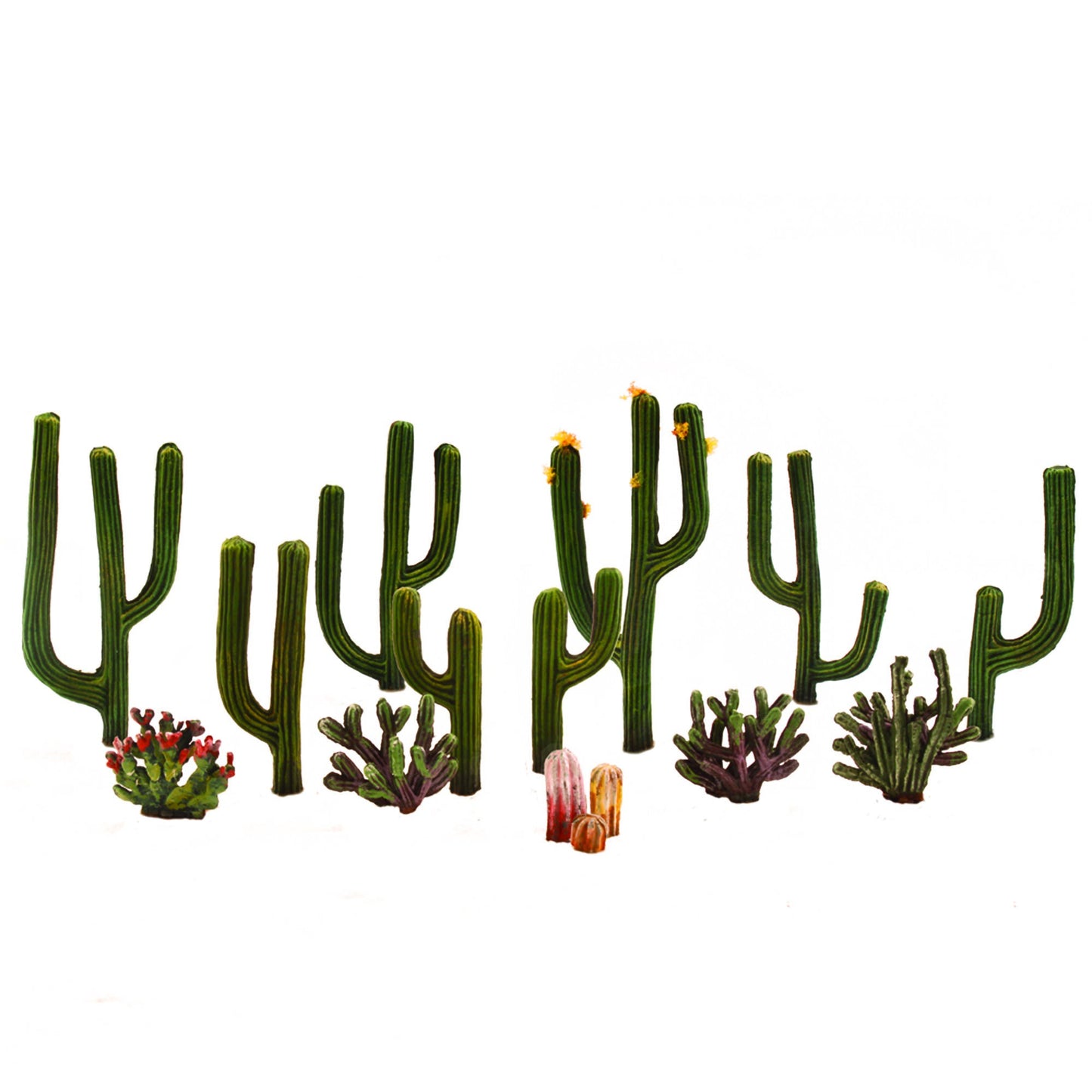 Classics Tree Cactus 0.5-2.5 inches (WOOTR3600)