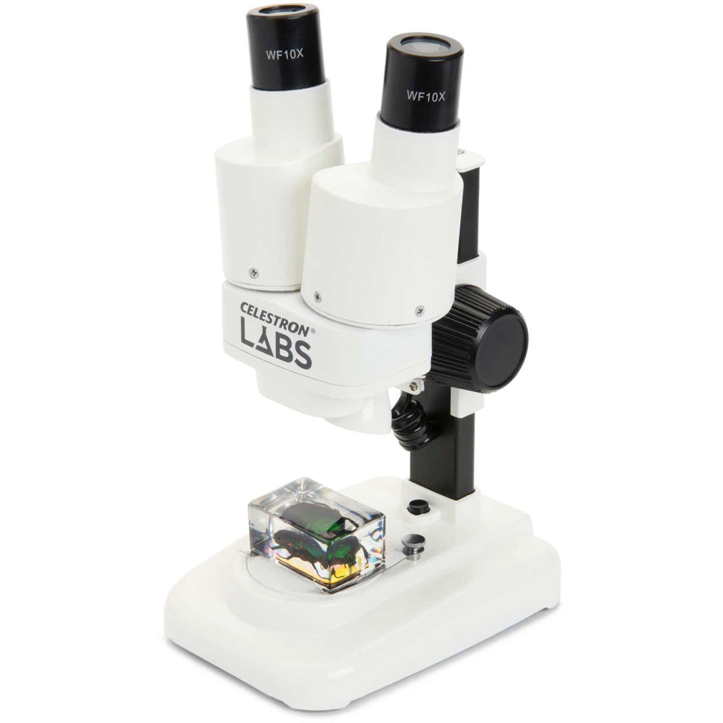 S20 Stereo Microscope (CSN44207)