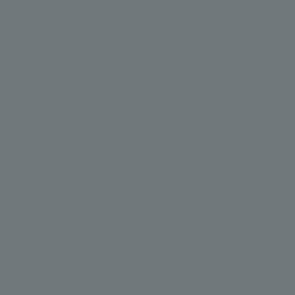 17Ml Neutral Gray (VLJ71051)