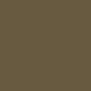 17Ml Ija Khaki Brown (VLJ71287)
