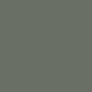 17Ml Green (VLJ71329)