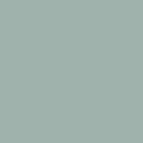17Ml Light Blue Rlm76 (VLJ71257)