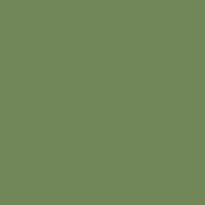 17Ml Pale Green (VLJ71095)