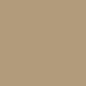 17Ml Us Desert Armour 686 (VLJ71122)