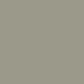 17Ml M495 Light Gray (VLJ71298)