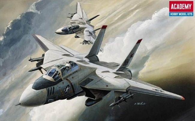 1/144 F14 Tomcat Fighter Plastic Model Kit (ACY12608)