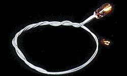 Grain-Of-Wheat Bulb, 12-Volt with 1/8" Black Wires (CKT10101)