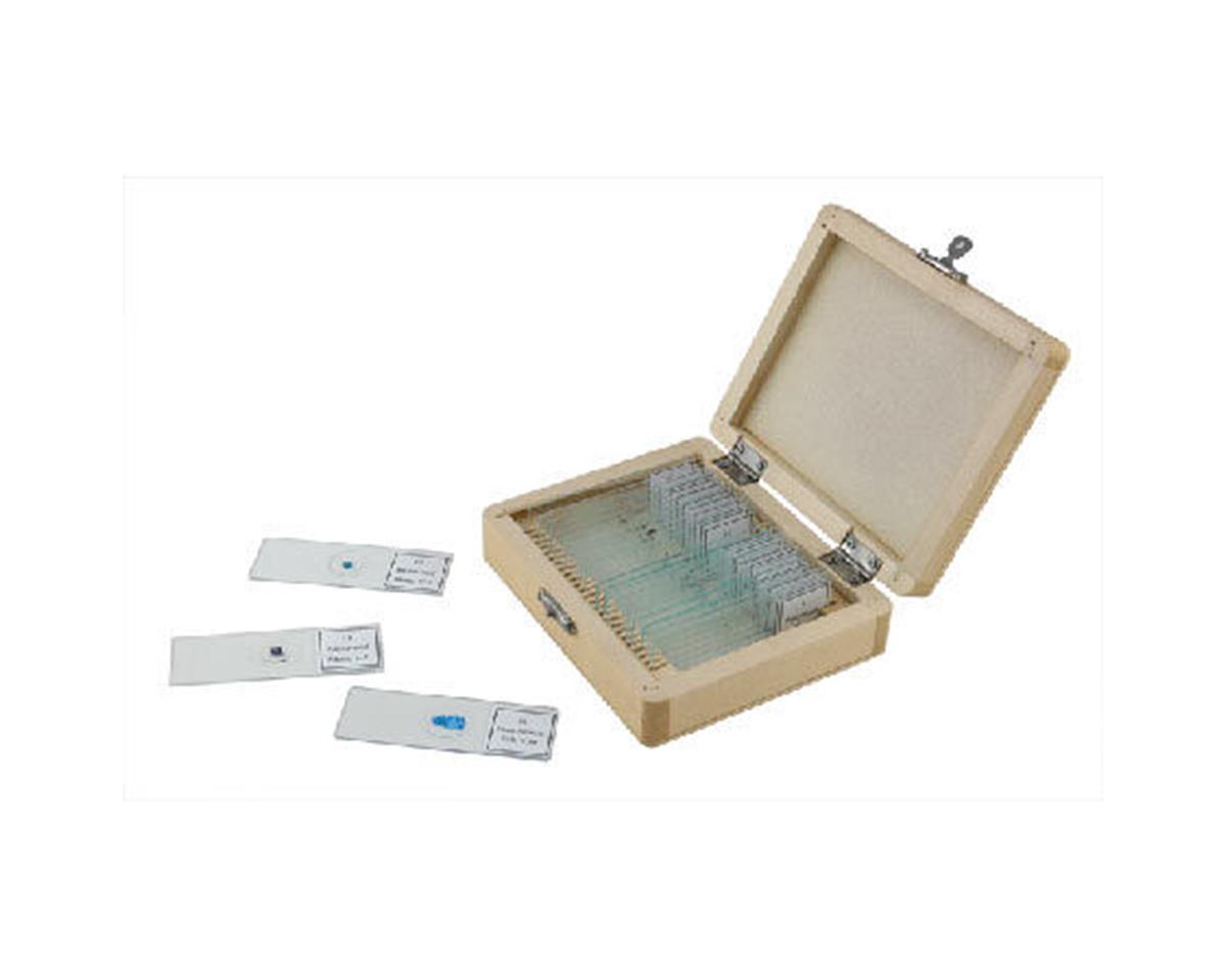 Prepared Microscope Slides (25) (CSN44410)