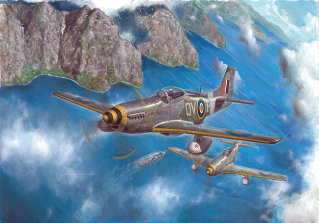 1/48 P51 Mustang IV / IVA Plastic Model Kit (ITA2745)