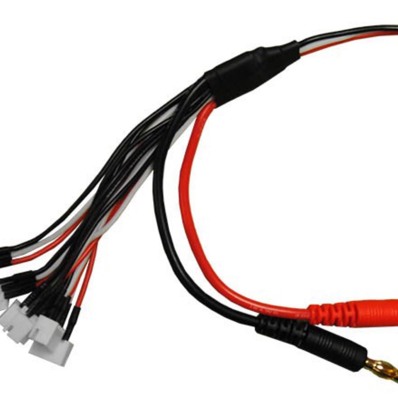 2S JST-XH Parallel Charge and Balance Adapter for 6 Batteries (PRGACP150)