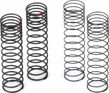 Big Bore Scaler Shock Spring Assortment (PRO634302)