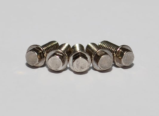 Miniature Scale Hex Bolts 2.5x6mm, Silver (RC4ZS0663)