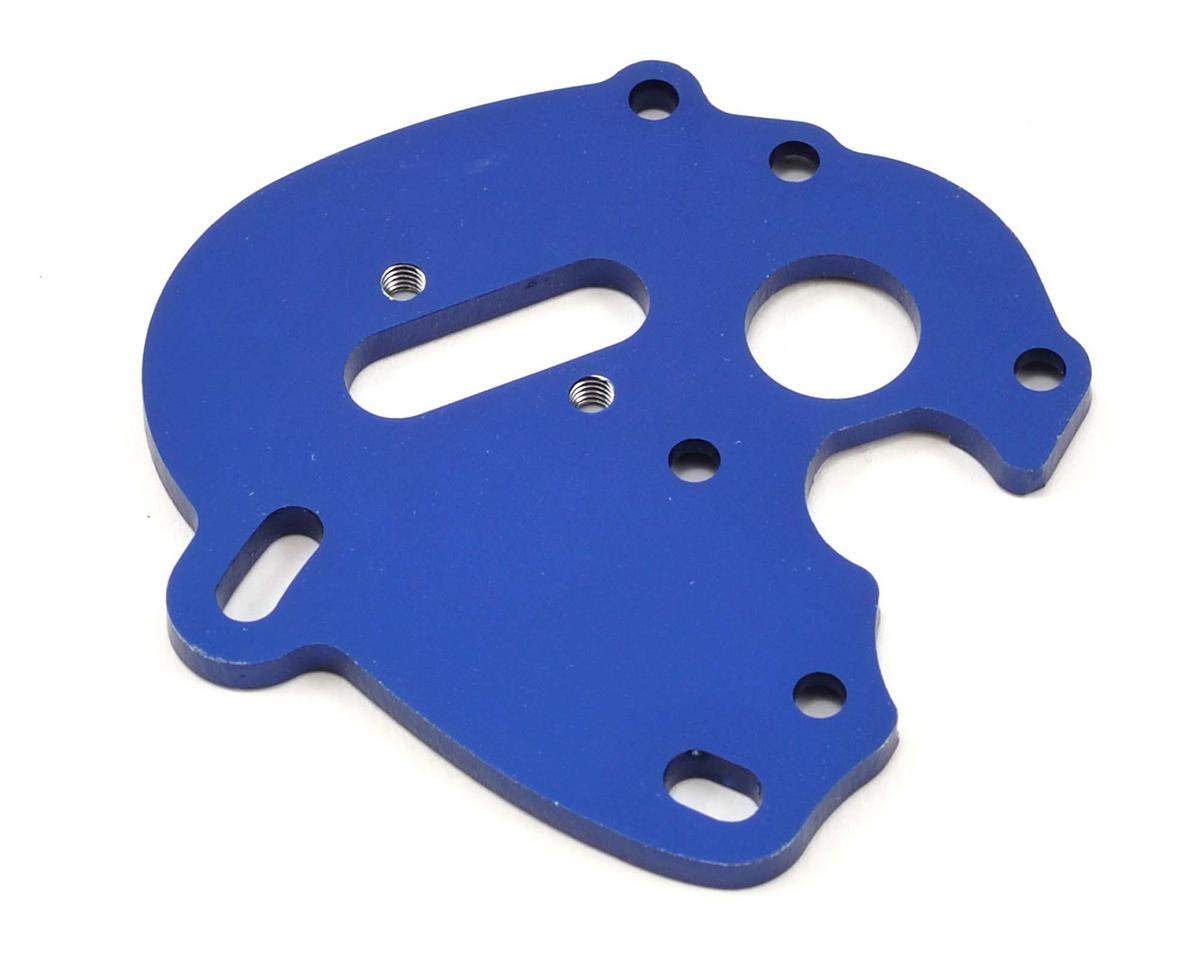 Motor Plate for 1/16 Summit (TRA7380)