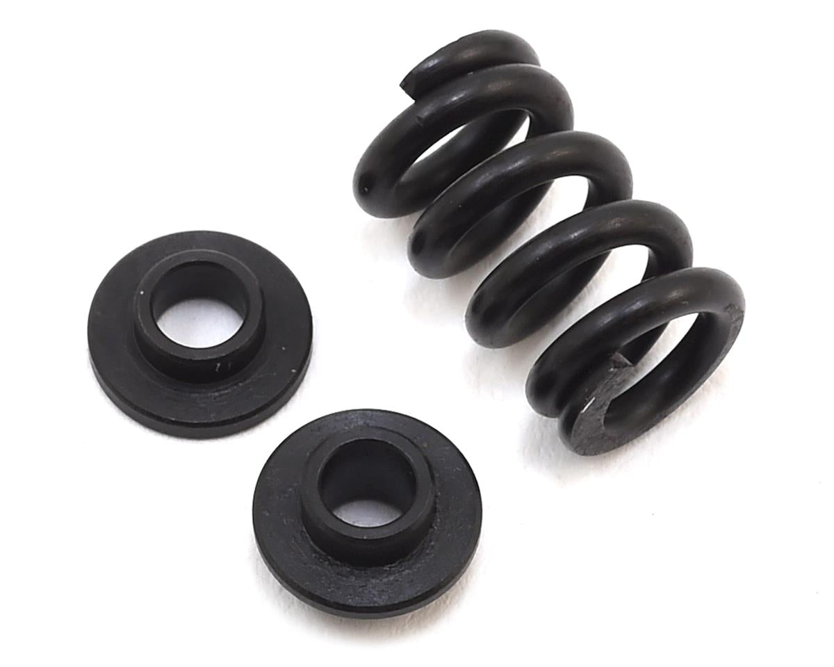 Slipper Spring Set for B6.1/B6.1D (ASC91801)