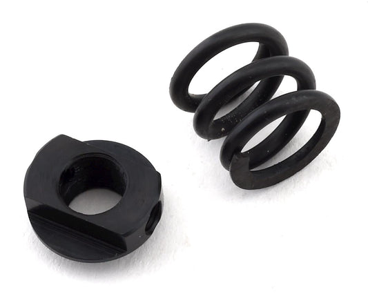 Slipper Spring and Nut for B74 (ASC92234)