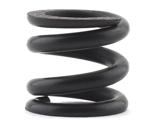 Slipper Spring for B74.1 (ASC92276)
