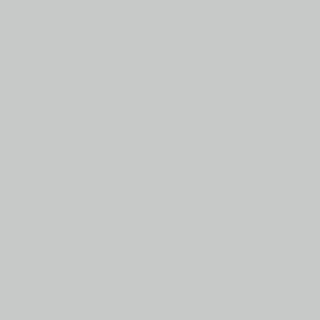 35Ml Light Grey Model Wash (VLJ76515)