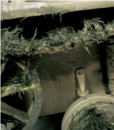 40Ml Crushed Grass (VLJ73825)