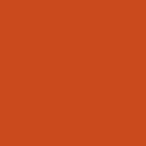 35Ml Rust Model Wash (VLJ76506)