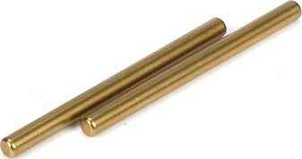REAR INNER HINGE PIN : 22 (TLR2055)