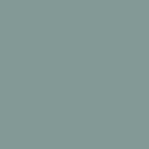 17Ml Light Blue Rlm65 (VLJ71255)
