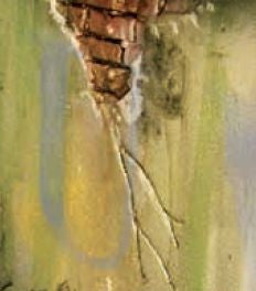 40Ml Slimy Grime Dark (VLJ73822)