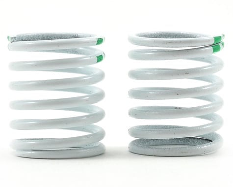 SPRING/1/16 RALLY (TRA7340)